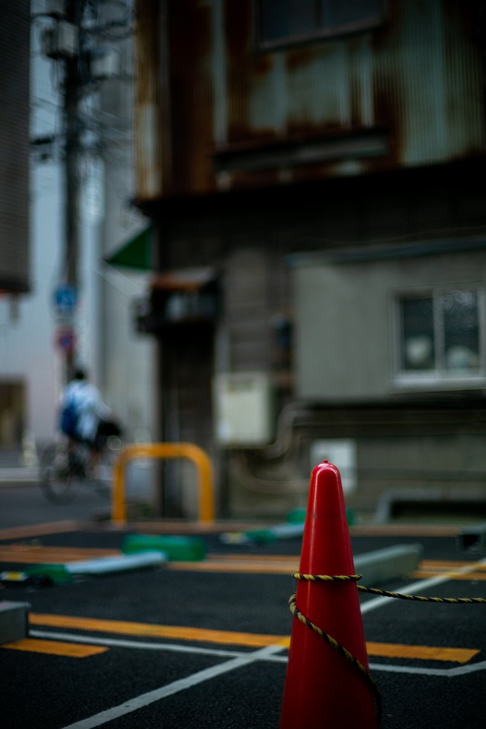 Leica M (Typ240) + Voigtlander NOKTON 50mm F1.1