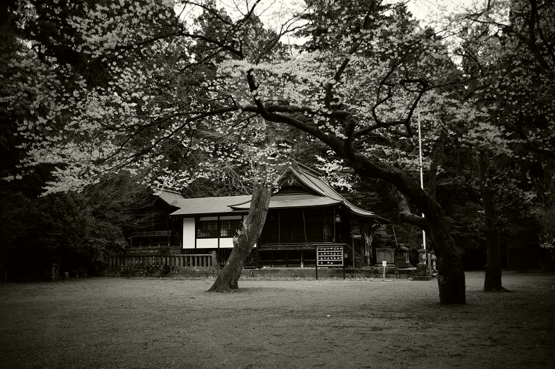 Leica M + ULTRON Vintage Line 35mm F2 Aspherical