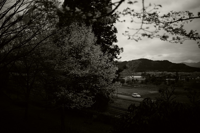Leica M + ULTRON Vintage Line 35mm F2 Aspherical