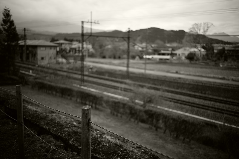 Leica M + ULTRON Vintage Line 35mm F2 Aspherical