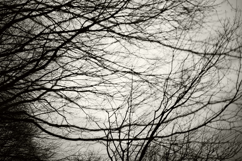 Leica M + ULTRON Vintage Line 35mm F2 Aspherical
