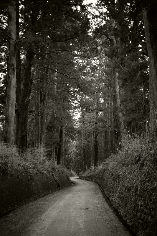 Leica M + ULTRON Vintage Line 35mm F2 Aspherical