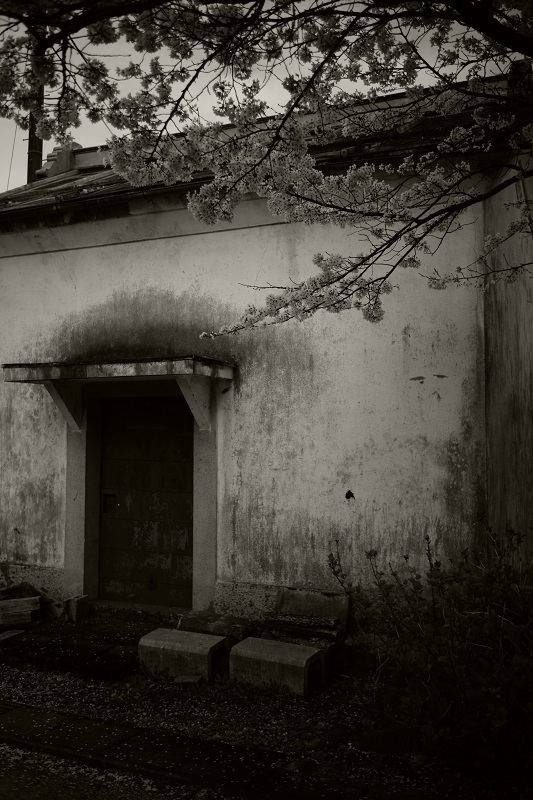 Leica M + ULTRON Vintage Line 35mm F2 Aspherical