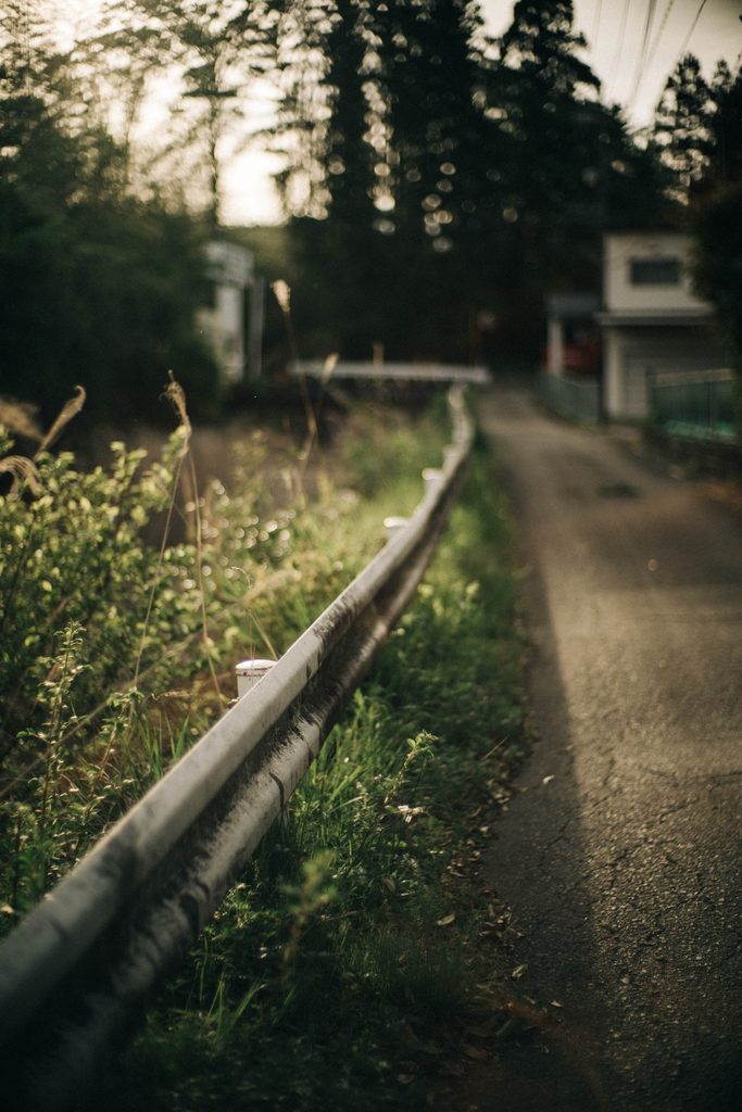 SONY α7 v + NOCTILUX 50mm F1.0 E60
