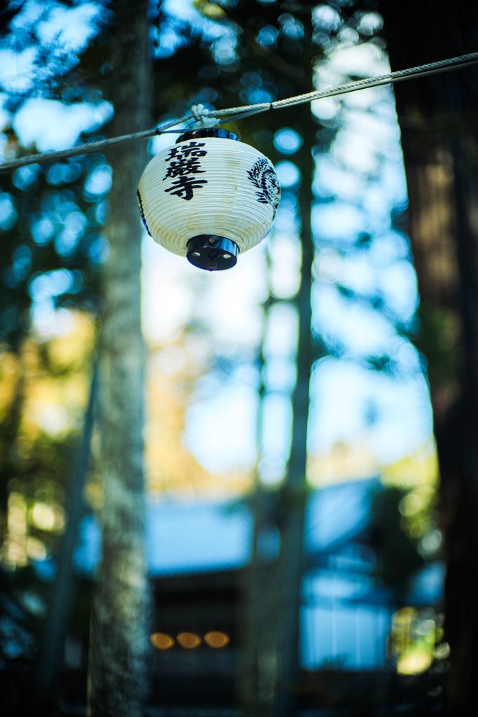LUMIX DC-S9 + NOCTILUX 50mm F1.0 E60